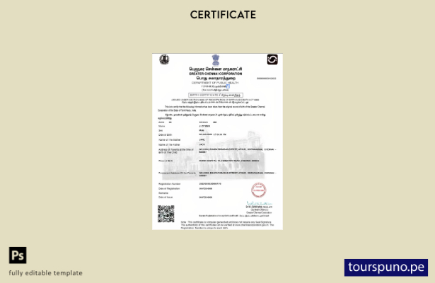 Plantilla de certificado de nacimiento de India lista para imprimir en formato P